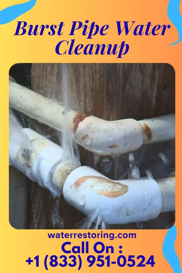 Burst Pipe Water Cleanup in Latty, OH