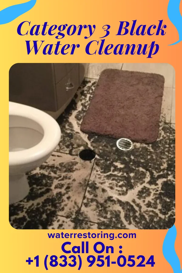Category 3 Black Water Cleanup in Latty, OH